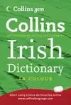 IRISH DICTIONARY