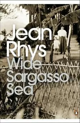 WIDE SARGASSO SEA (WITH NOTES)