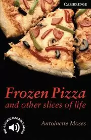 FROZEN PIZZA & OTHER SLICES LIFE. LEVEL 6
