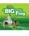 A BIG LESSON FOR LITTLE FROG- BIG BOOK