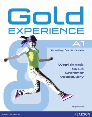 GOLD EXPERIENCE LANGUAGE AND SKILLS WORKBOOK A1