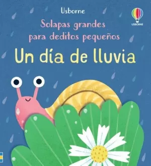 UN DÍA DE LLUVIA