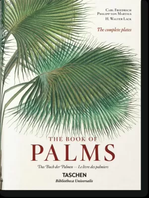 MARTIUS. EL LIBRO DE LAS PALMERAS