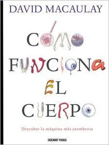 CÓMO FUNCIONA EL CUERPO