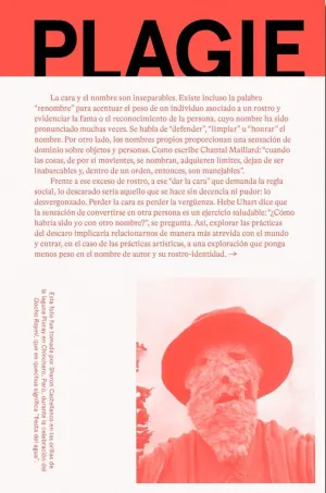 PLAGIE COPIE MANIPULE ROBE REESCRIBA ESTE LIBRO