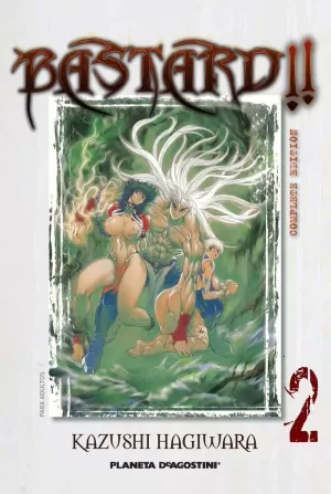 BASTARD! COMPLETE EDITION Nº2