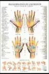 REFLEXOLOGIA DE LAS MANOS POSTER