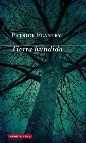 TIERRA HUNDIDA