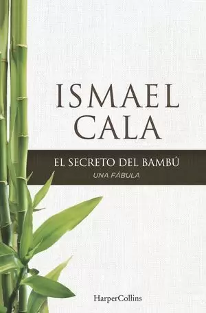 EL SECRETO DEL BAMBÚ