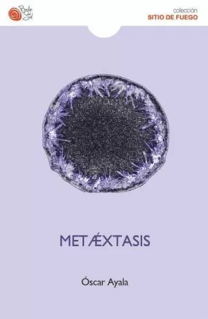 METAÉXTASIS