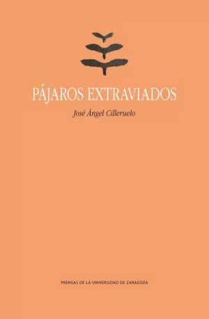 PAJAROS EXTRAVIADOS