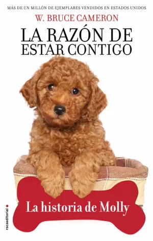 LA RAZÓN DE ESTAR CONTIGO. LA HISTORIA DE MOLLY.