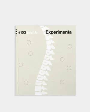 EXPERIMENTA 103. INVISIBLE