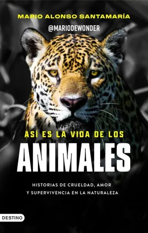 ASÍ ES LA VIDA DE LOS ANIMALES