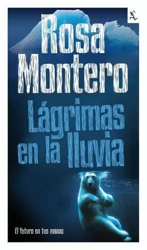 LAGRIMAS EN LA LLUVIA