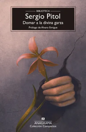 DOMAR A LA DIVINA GARZA