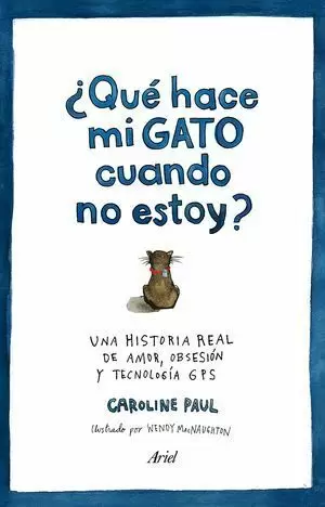 ¿QUÉ HACE MI GATO CUANDO NO ESTOY?