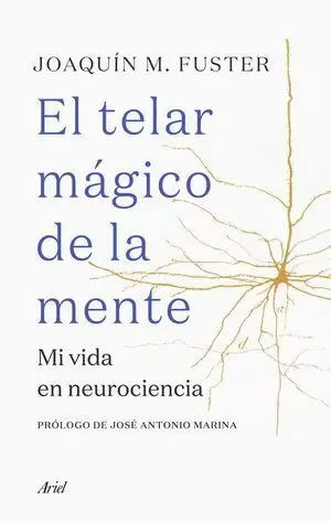 EL TELAR MÁGICO DE LA MENTE