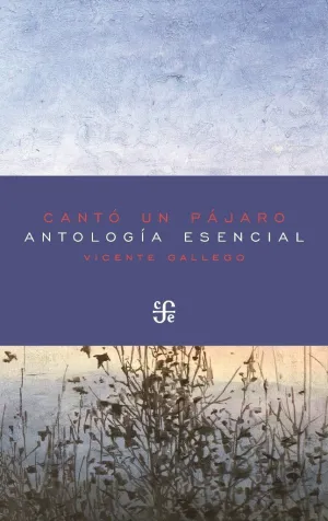 CANTÓ UN PÁJARO