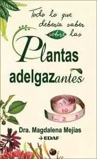 TODO LO QUE DEBERIA SABER SOBRE PLANTAS ADELGAZANTES