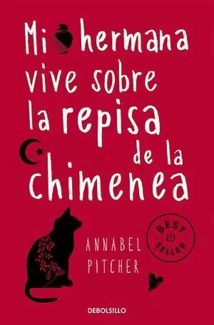MI HERMANA VIVE SOBRE LA REPISA DE LA CHIMENEA