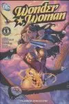 WONDER WOMAN: UN AÑO DESPUES
