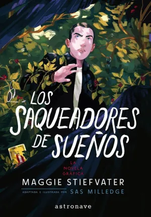 THE RAVEN BOYS 02. LOS SAQUEADORES DE SUEÑOS
