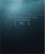 FLOTA DE NUEVA ESPAÑA Y BUSQUEDA DEL GALEON NUESTRA SEÑORA DEL JVNCAL