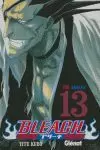 BLEACH Nº13