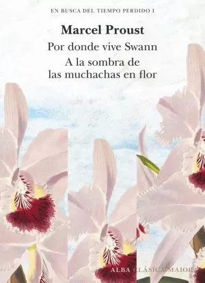 EN BUSCA DEL TIEMPO PERDIDO, VOL. 1 (POR DONDE VIVE SWAN (TOMO I) Y A LA SOMBRA DE LAS MUCHACHAS EN FLOR (TOMO II))