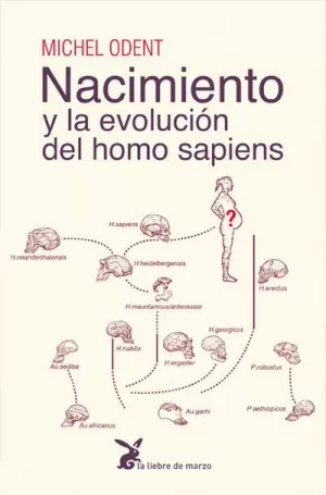 NACIMIENTO Y LA EVOLUCIÓN DEL HOMO SAPIENS