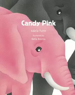 CANDY PINK (INGLÉS)