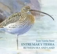 ENTRE MAR Y TIERRA. BETWEEN SEA AND LAND