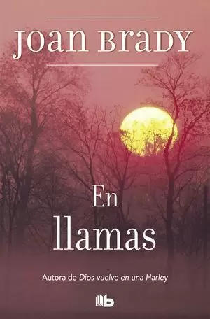 EN LLAMAS