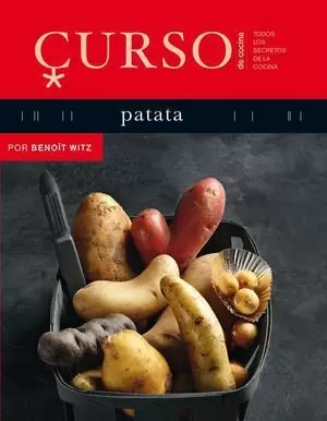 CURSO DE COCINA PATATA