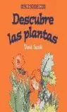 DESCUBRE LAS PLANTAS