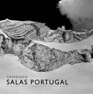 (E) ARMANDO SALAS PORTUGAL