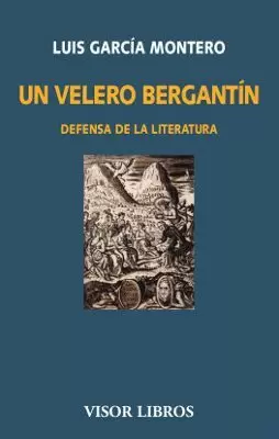 UN VELERO BERGANTÍN