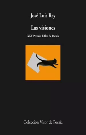 LAS VISIONES