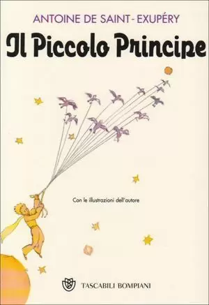 IL PICCOLO PRINCIPE