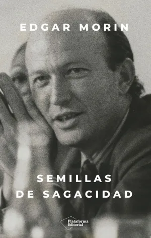 SEMILLAS DE SAGACIDAD