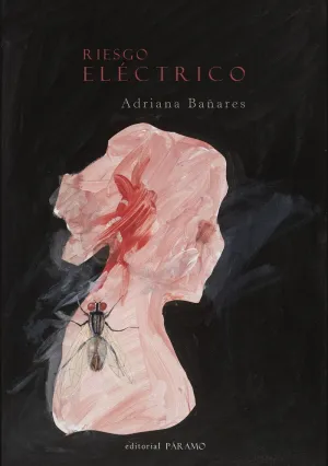 RIESGO ELÉCTRICO